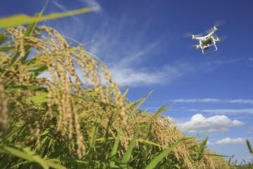 ナイジェリアのアグリテックスタートアップ『Beat Drone』がドローン技術を新型コロナウイルス対策に使用