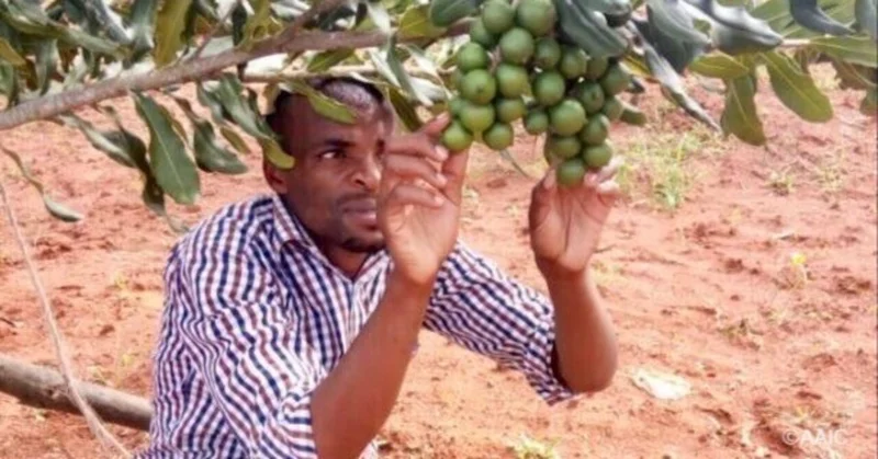 アフリカでの日本のプレゼンスとグローバル人材育成の要件