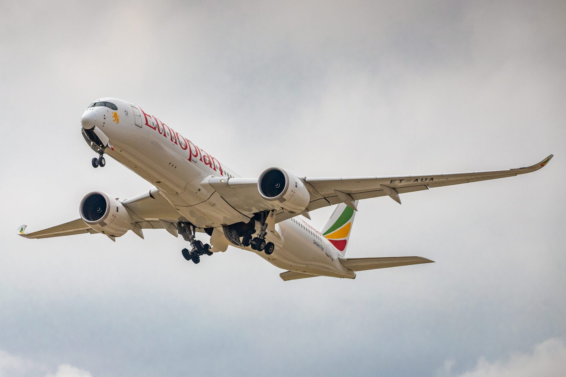 【アフリカ有名企業|エチオピア航空】アフリカ最大の国営航空会社！エチオピア航空
