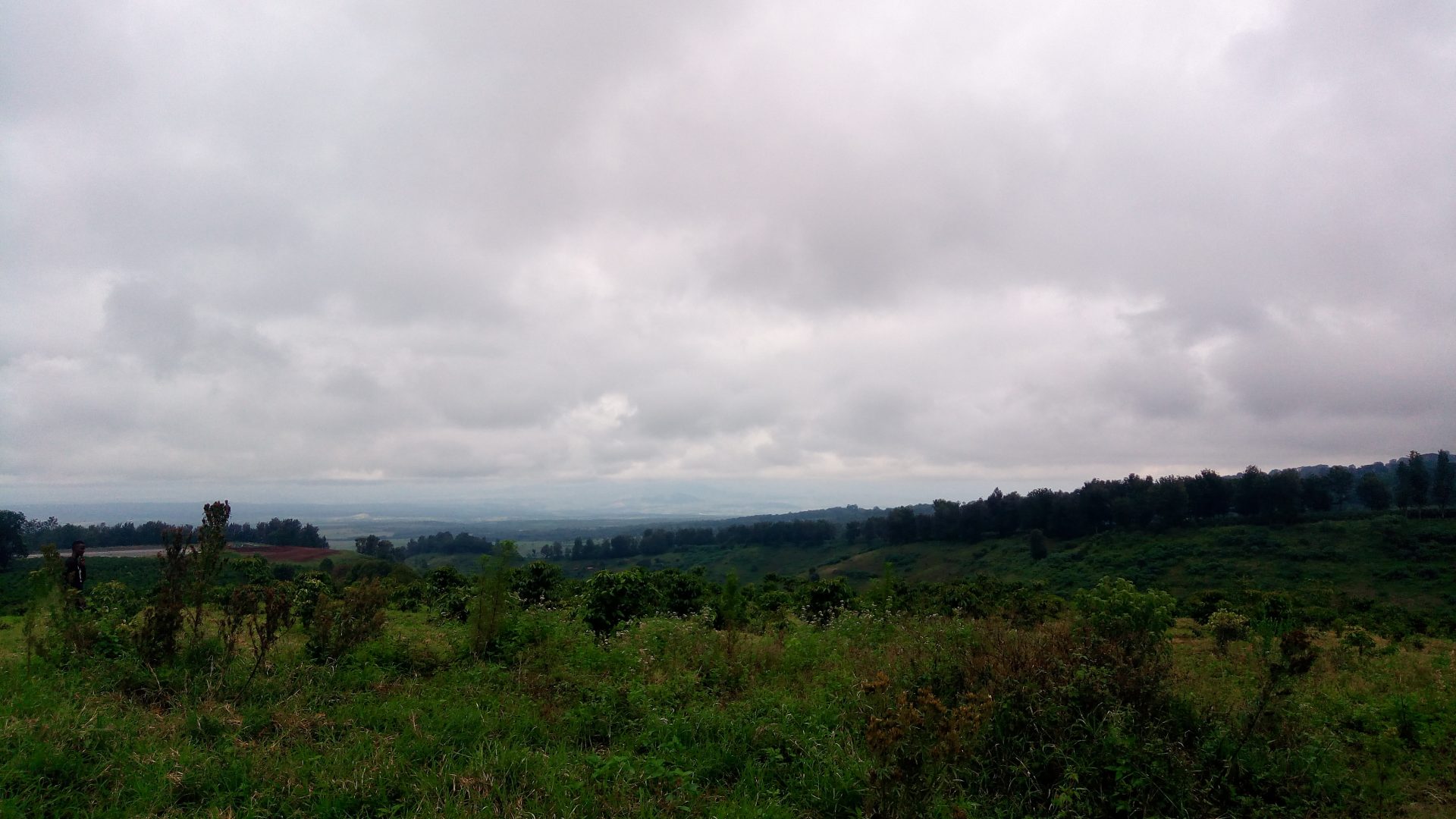 タンザニアの新農園について～TANJA農園の歴史と、 Ngorongoro coffeeいよいよ日本上陸間近！